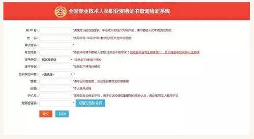 全國專業(yè)技術(shù)人員職業(yè)資格證書查詢驗(yàn)證系統(tǒng)使用指南